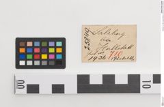 Etiketten zu Bronzegürtelblech (NHMW-PRAE-025849)